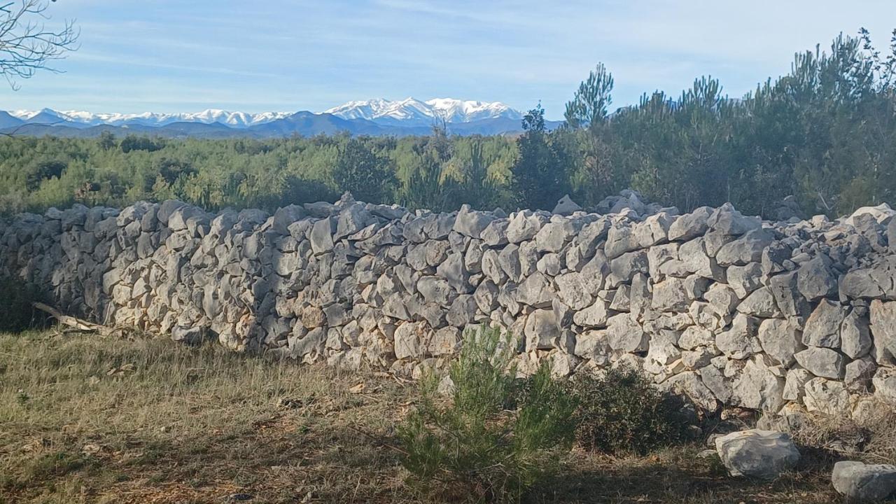 3Natura Avinyonet de Puigventós Exteriör bild